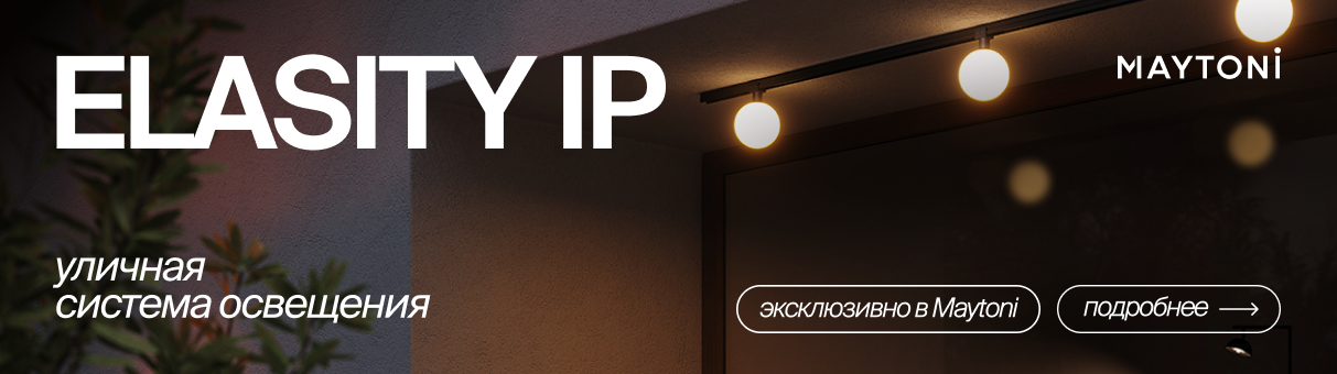 Уличная Elasity IP