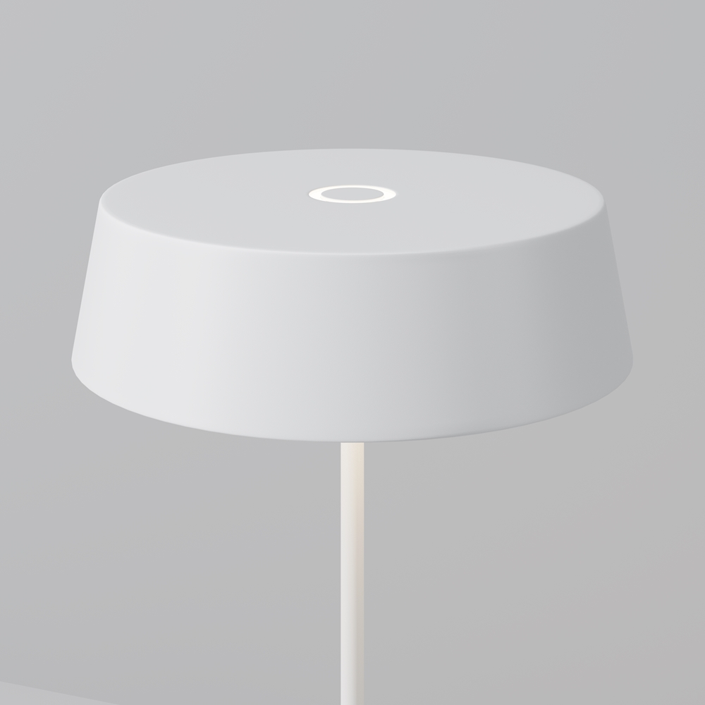 Аккумуляторный светильник O540TL-L2WCCT