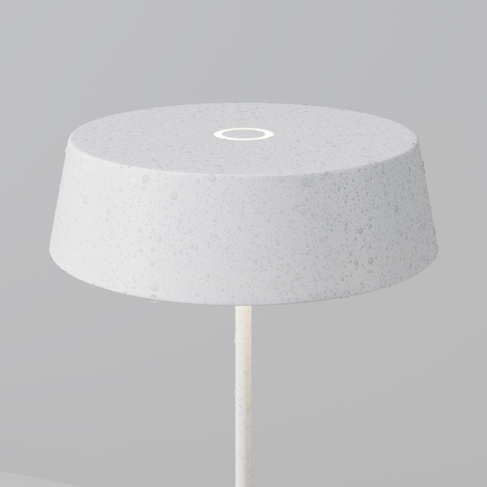 Аккумуляторный светильник O540TL-L2WCCT