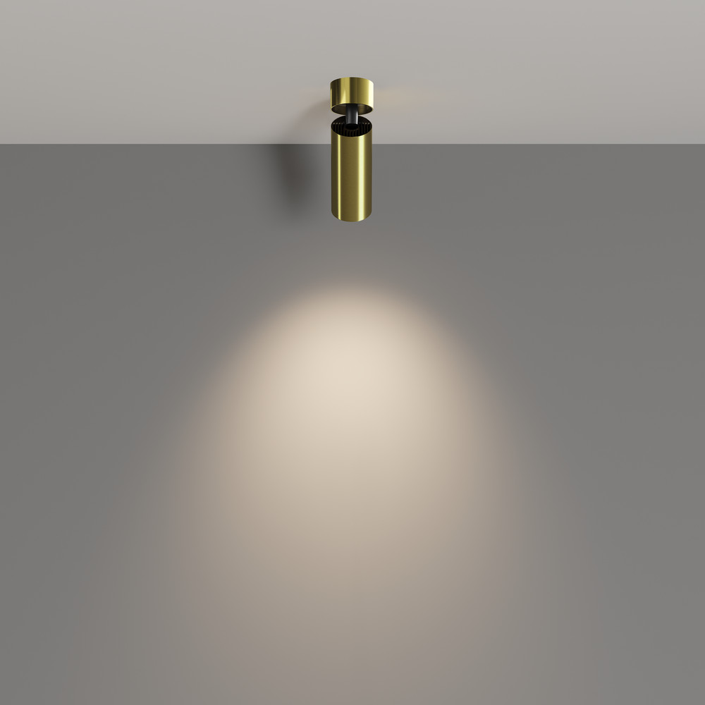 Потолочный светильник Фокус / FOCUS LED 12 Вт 4000 К 50°