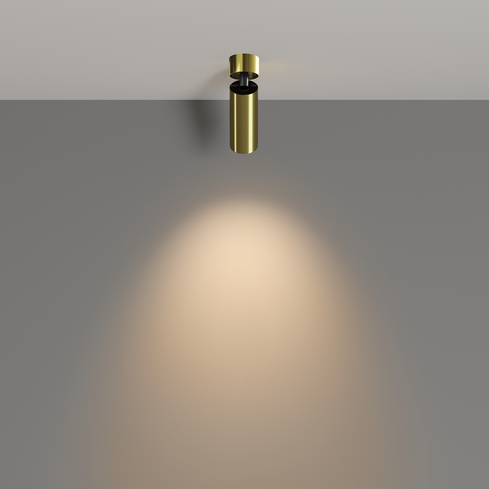 Потолочный светильник Фокус / FOCUS LED 12 Вт 3000 К 50°
