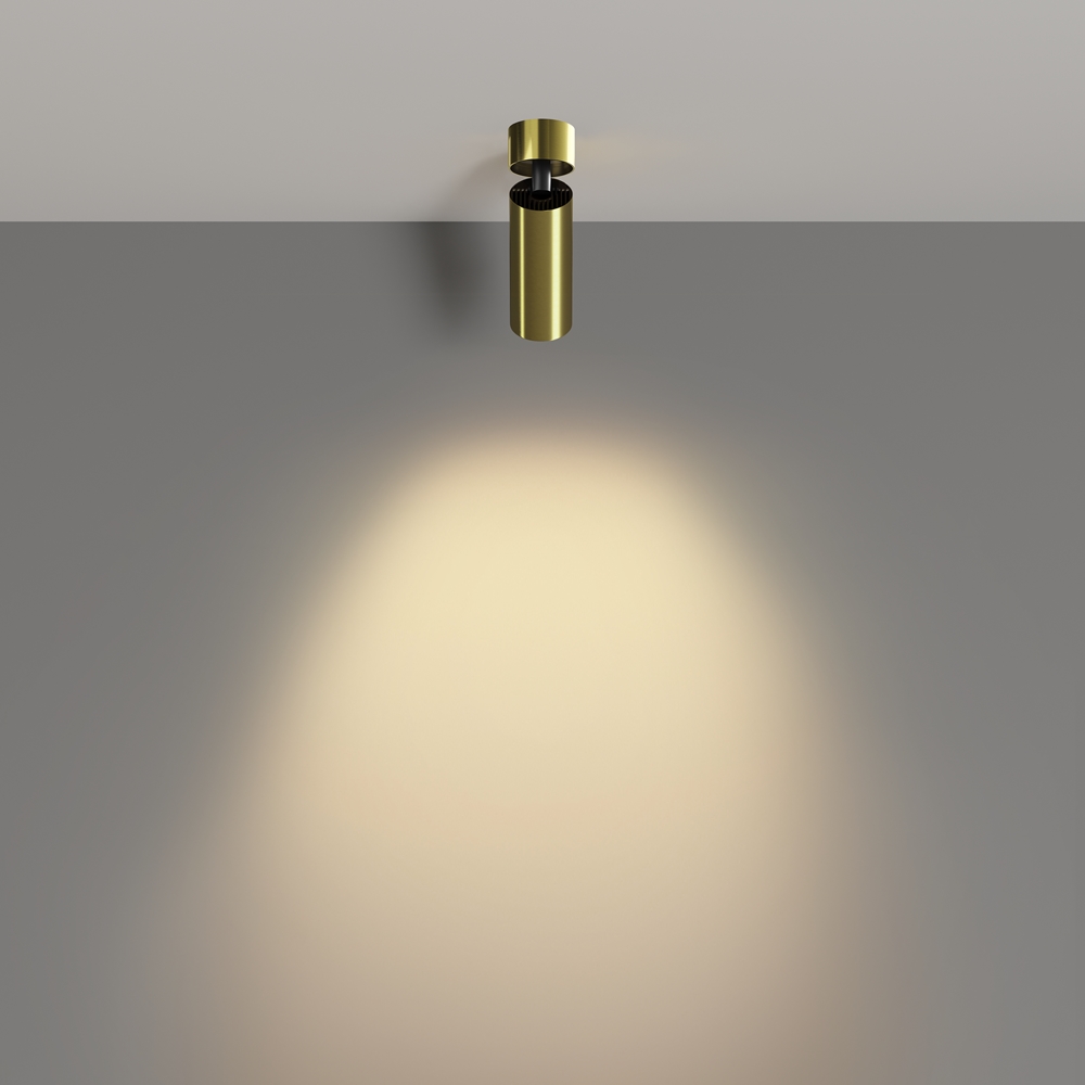 Потолочный светильник Фокус / FOCUS LED 12 Вт 2700 К 50°
