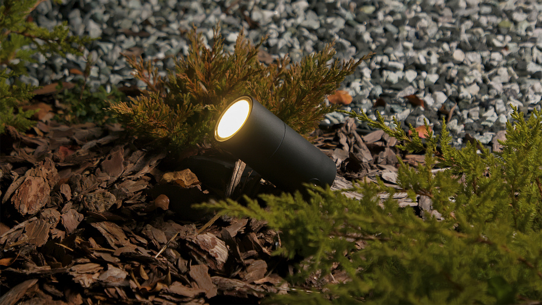 Гектар мечты