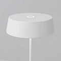 Аккумуляторный светильник O540TL-L2WCCT