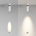Потолочный светильник Фокус / FOCUS LED 12 Вт 3000 К 9°