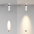 Потолочный светильник Фокус / FOCUS LED 12 Вт 2700 К 9°