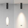 Потолочный светильник Фокус / FOCUS LED 12 Вт 2700 К 9°