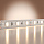 Светодиодная лента Базовая 12В 2835 4,8Вт/м 4000K 5м IP 20 201163